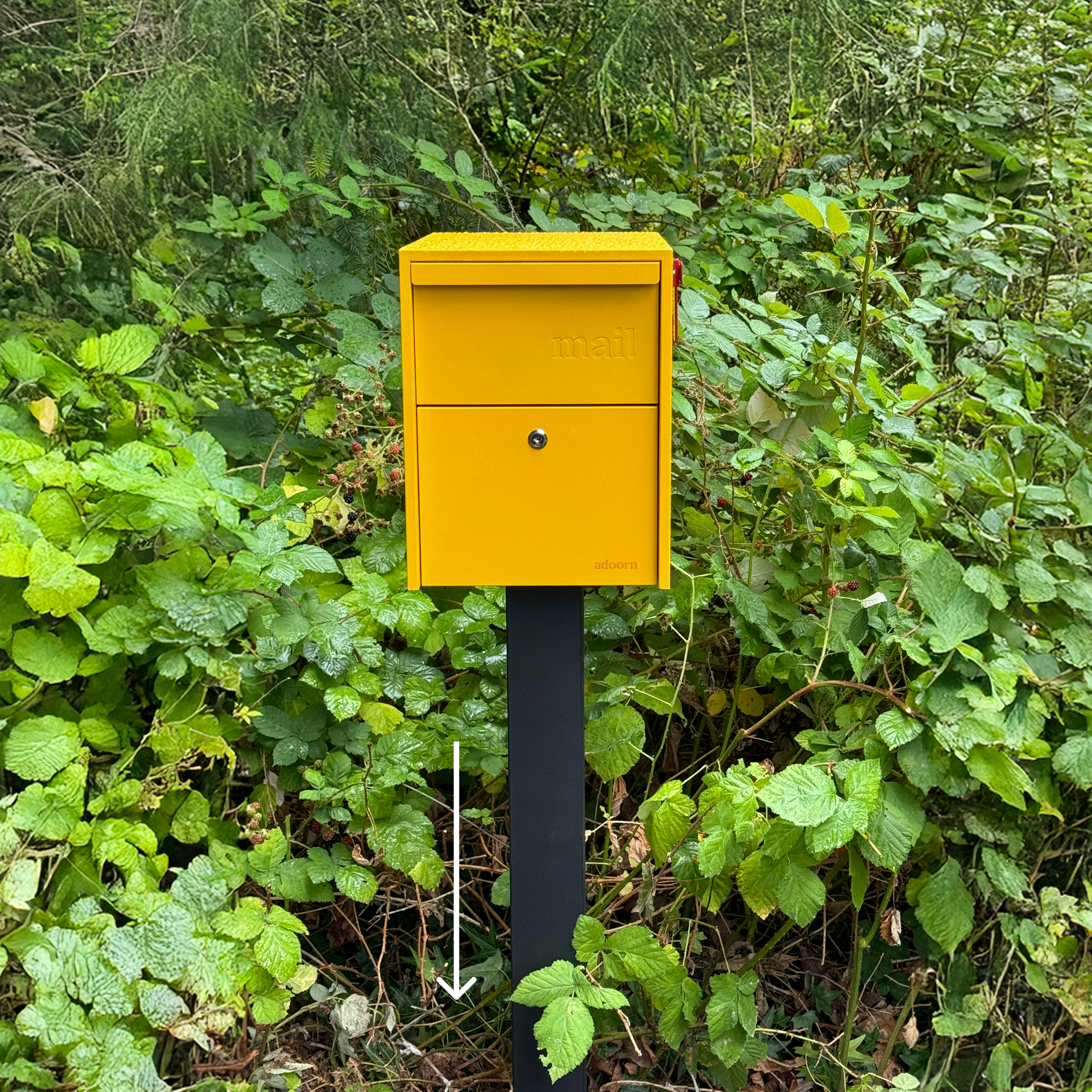 850046544484