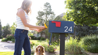 Small Changes, Big Impact: Upgrading Your Mailbox & Driveway Accents